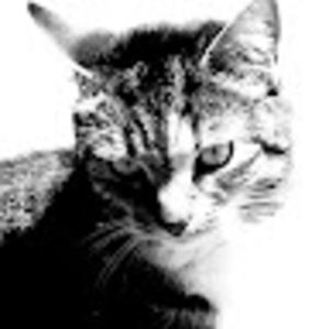 Meet your Posher, Karina